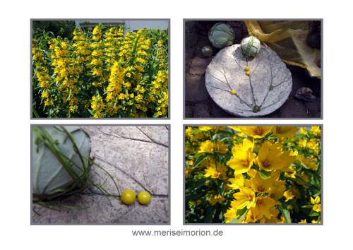 Sommerdeko im garten