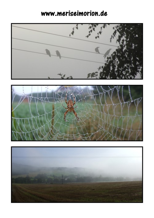 Herbstdeko in grün