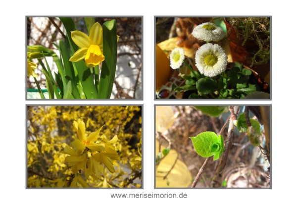 Frühling im garten