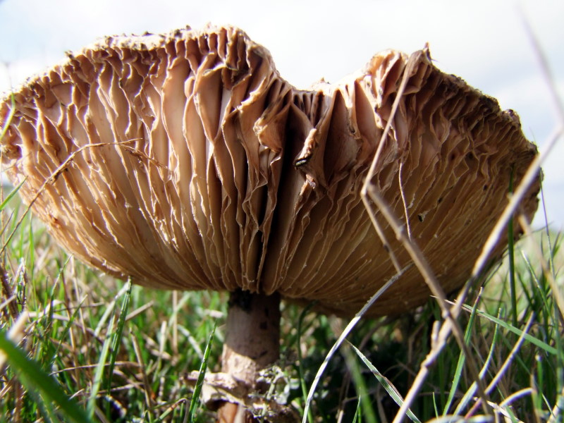 Neue Beton Deko Ideen Neue Beton Deko Ideen