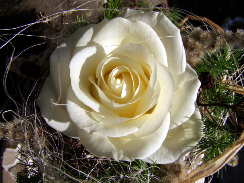 Deko mit weißen rosen