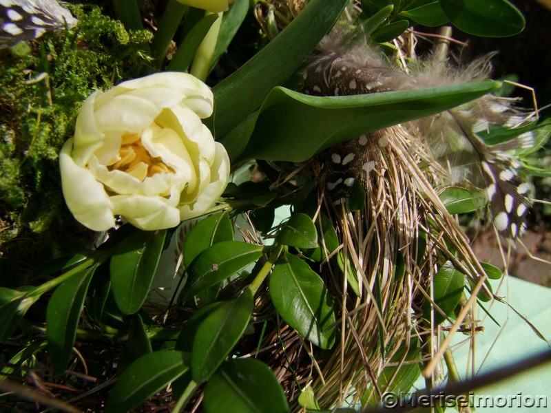 Frühlingsstrauß mit Tulpen