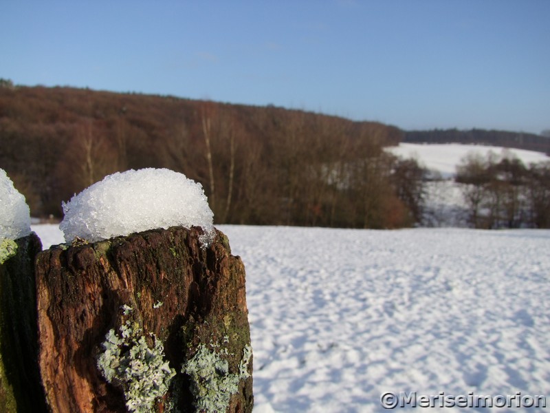 Schnee im Westerwald