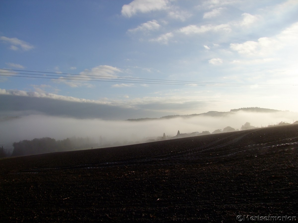 Nebelmorgen im Westerwald