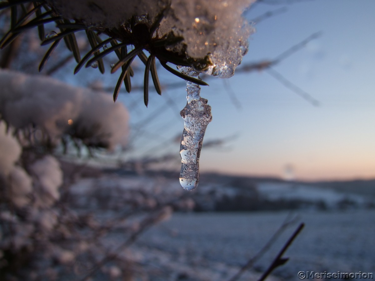 Eiszapfen und Schnee