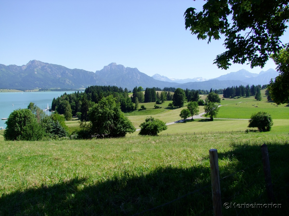 Forggensee und Alpenpanorama