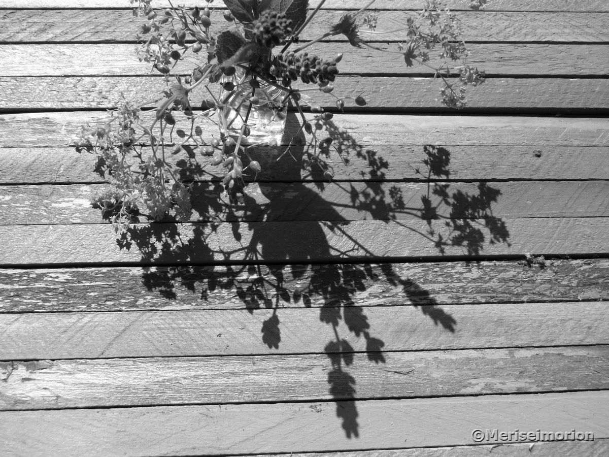 Schatten in schwarz-weiß Fotografie