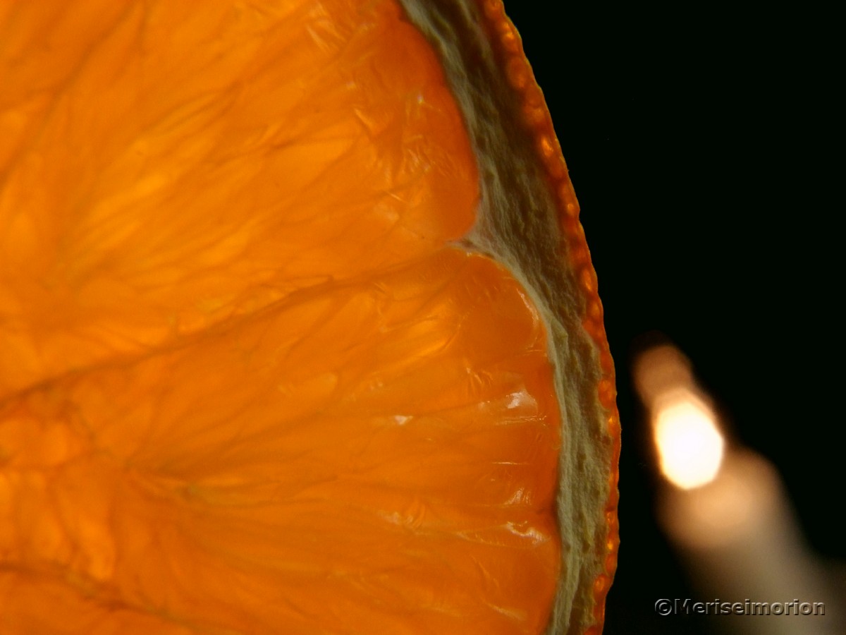 Orangenschale trocknen