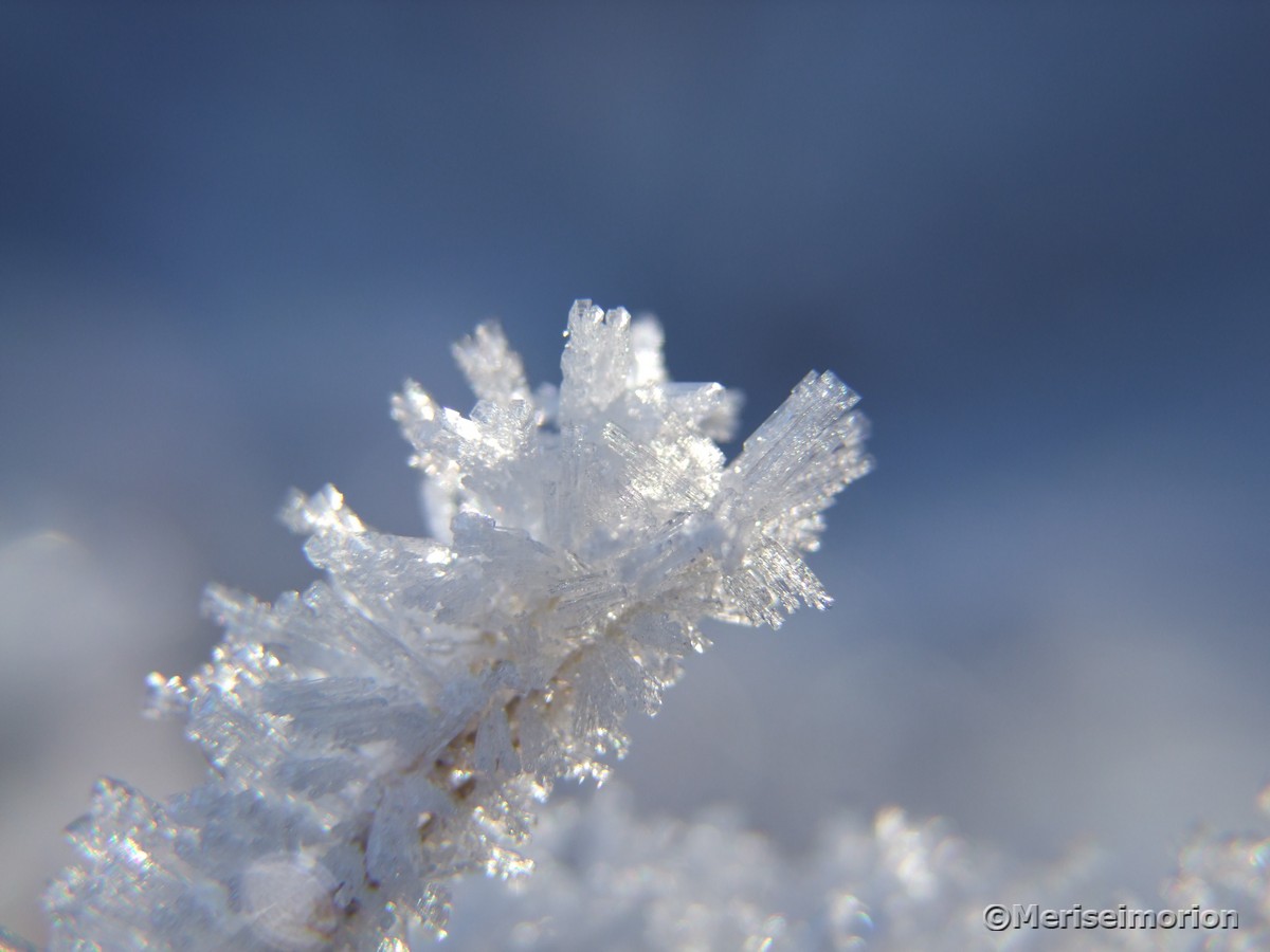 Eiskristalle im Winter