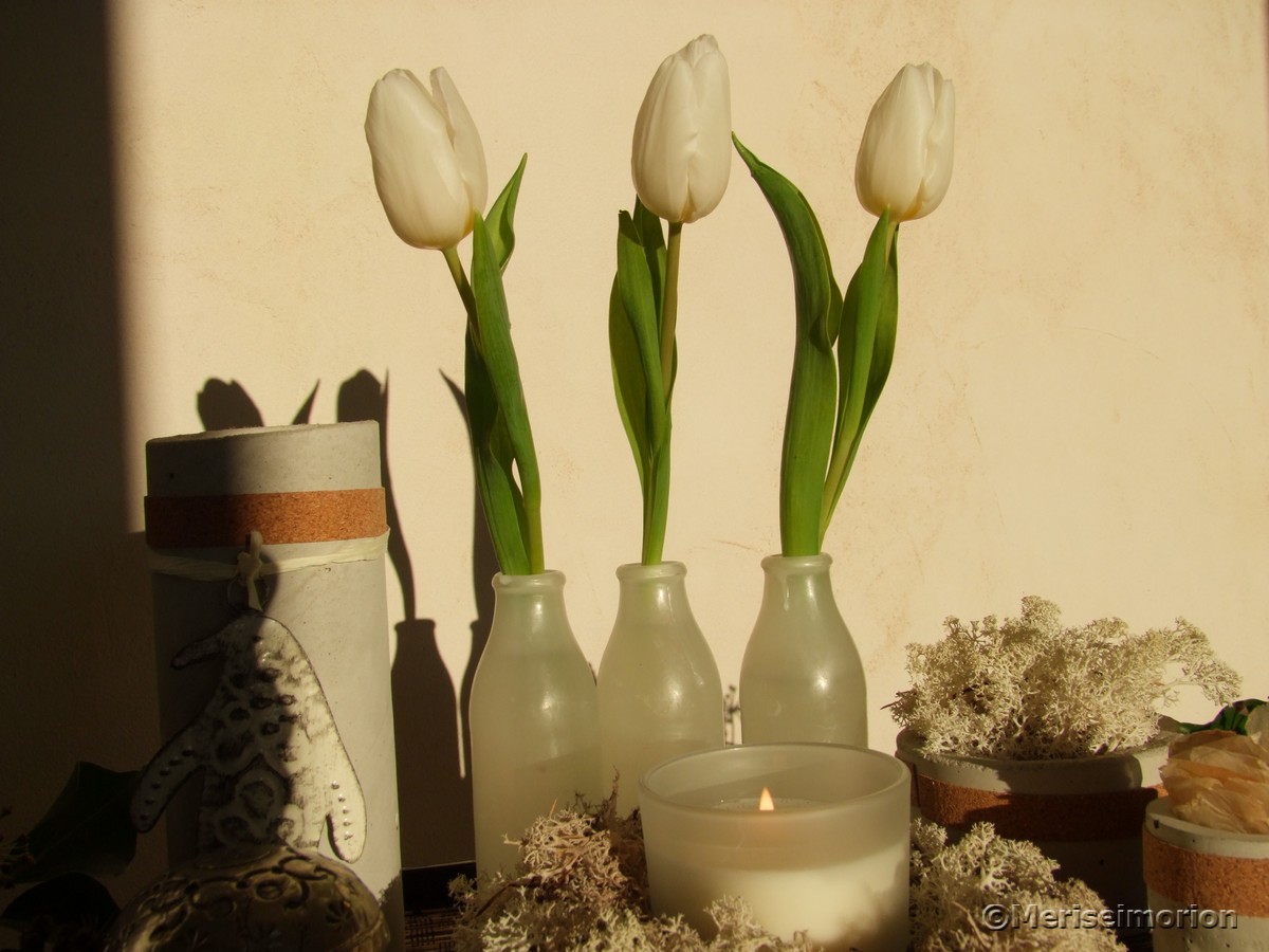 Tischdeko weiße Tulpen