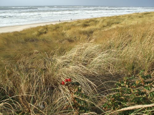 HerbststÃ¼rme an der Nordsee