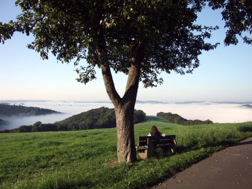 Morgennebel im Westerwald