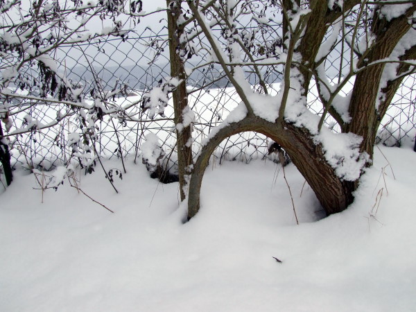 Schnee-Spaziergang