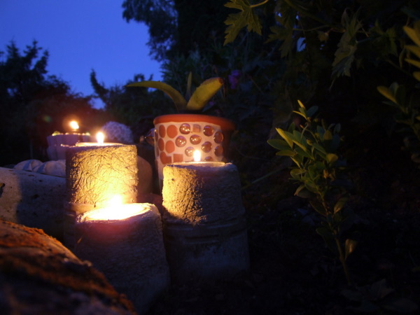 Blaue Stunde im garten