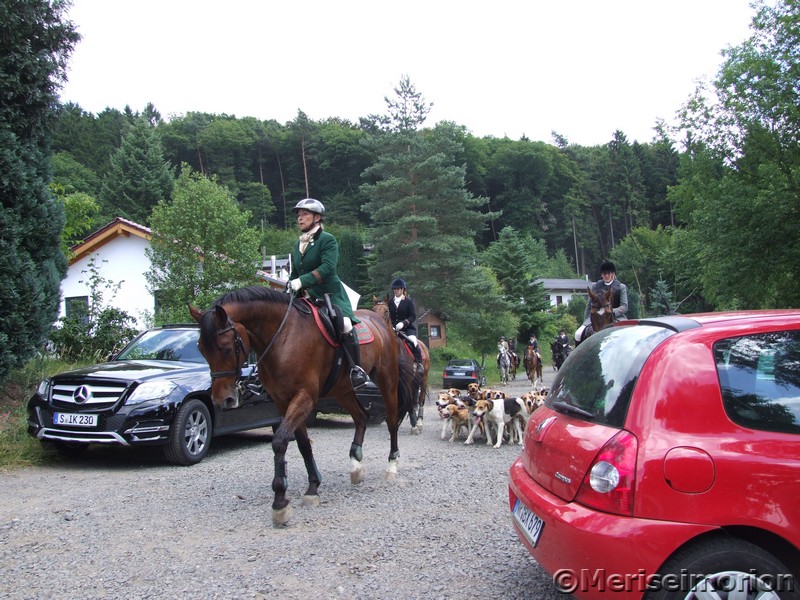 Die Cappenberger Meute im Westerwald