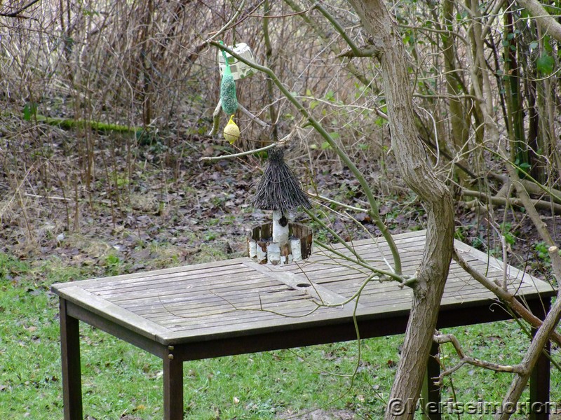 Weidentipi im Garten