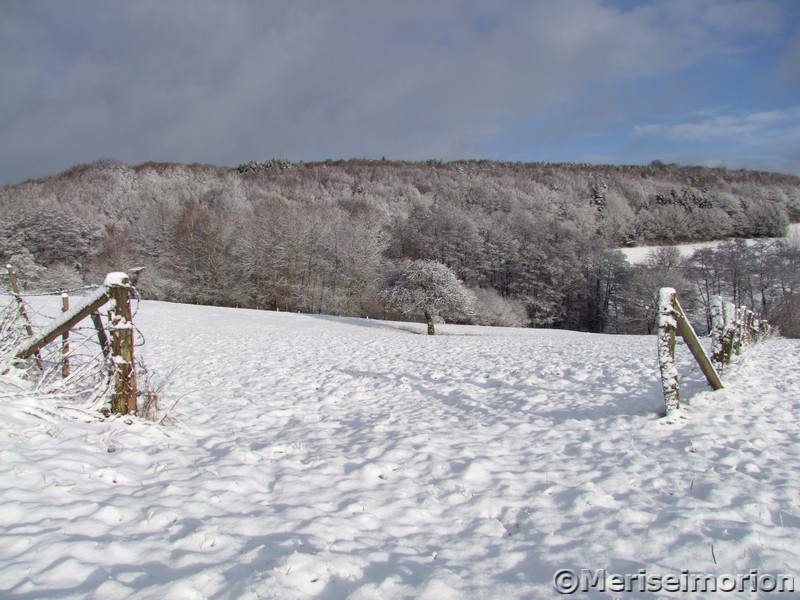 Westerwald Schneelandschaft