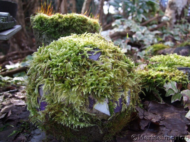 Mosaike im Garten