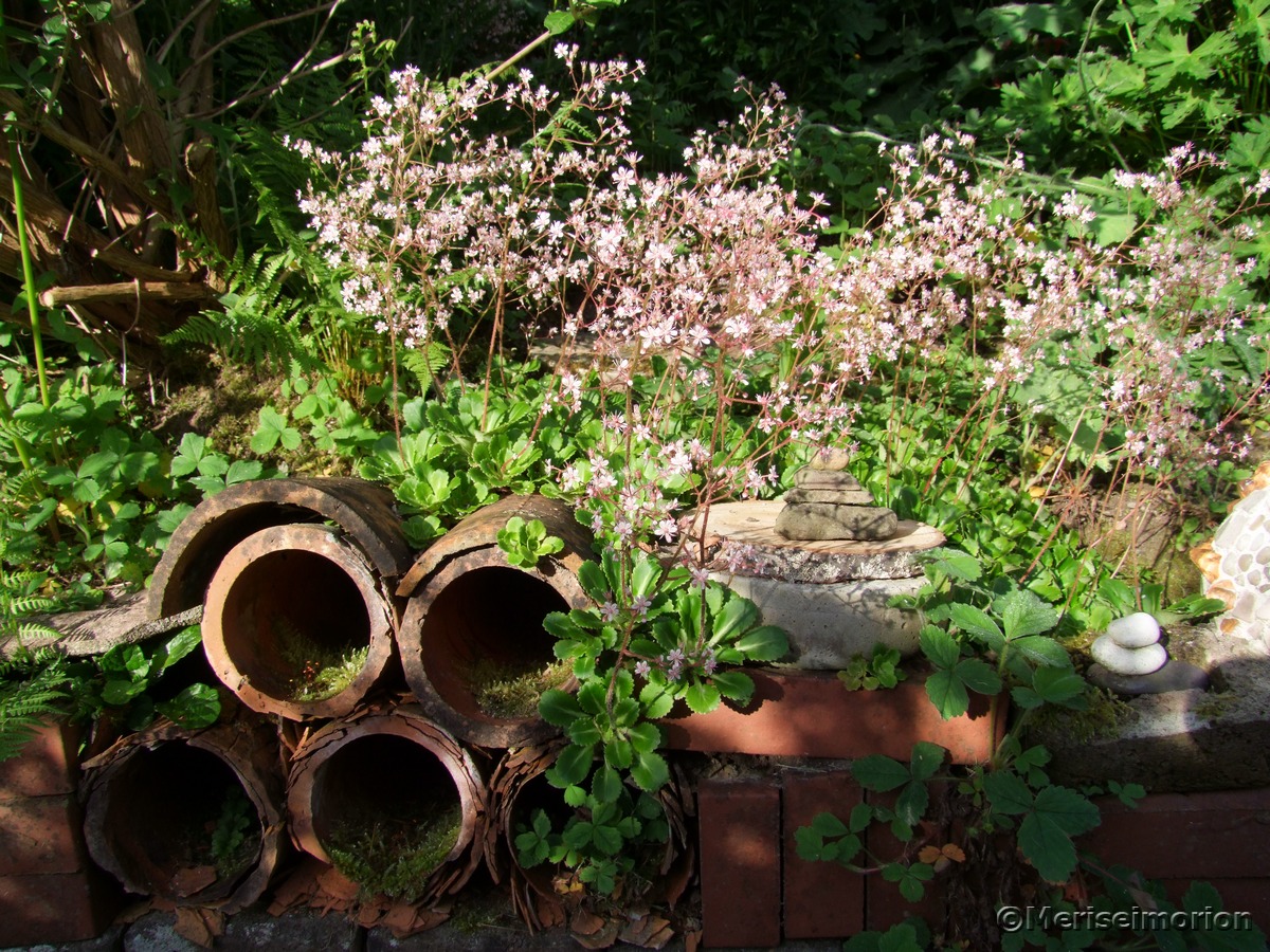 Trockenmauer upcycling Ideen