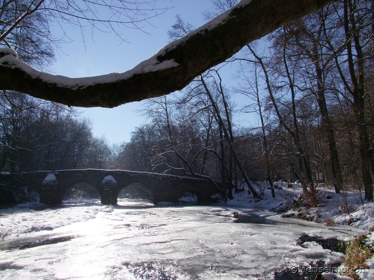 Winterspaziergang NisterbrÃ¼cke