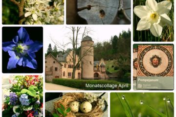 Monatscollage April