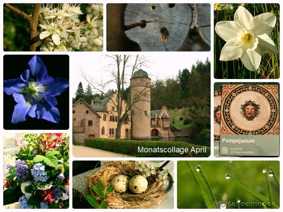 Monatscollage April