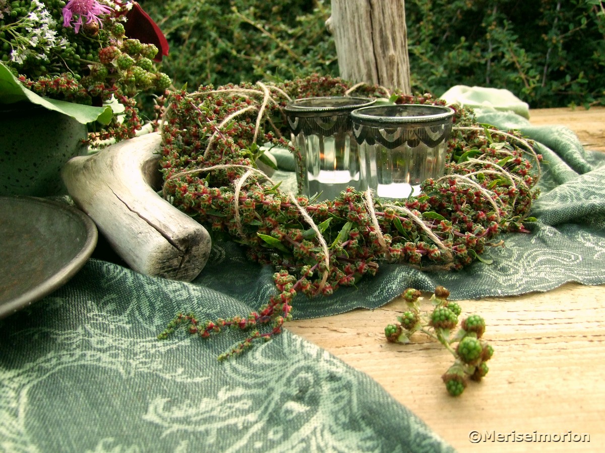 Grüne Brombeeren und Mangold Samen