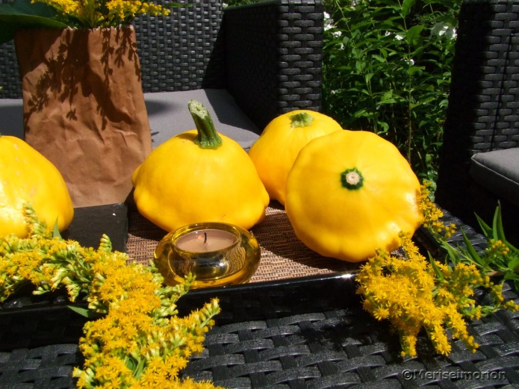 Gelbe Patisson Zucchini für die Tischdeko - Meriseimorion