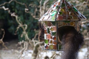 besuch-im-mosaik-vogelfutterhaus