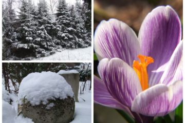 FrÃ¼hling in Sicht