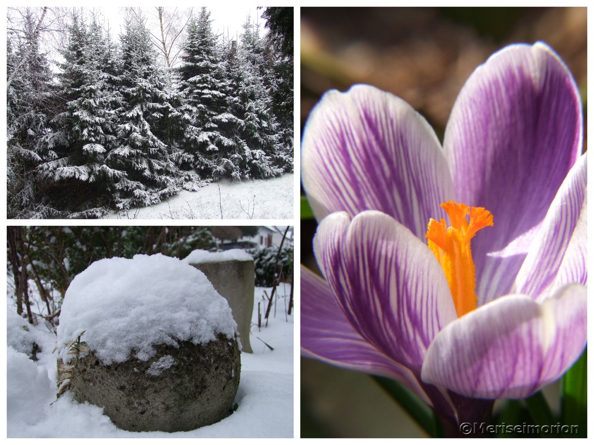 FrÃ¼hling in Sicht