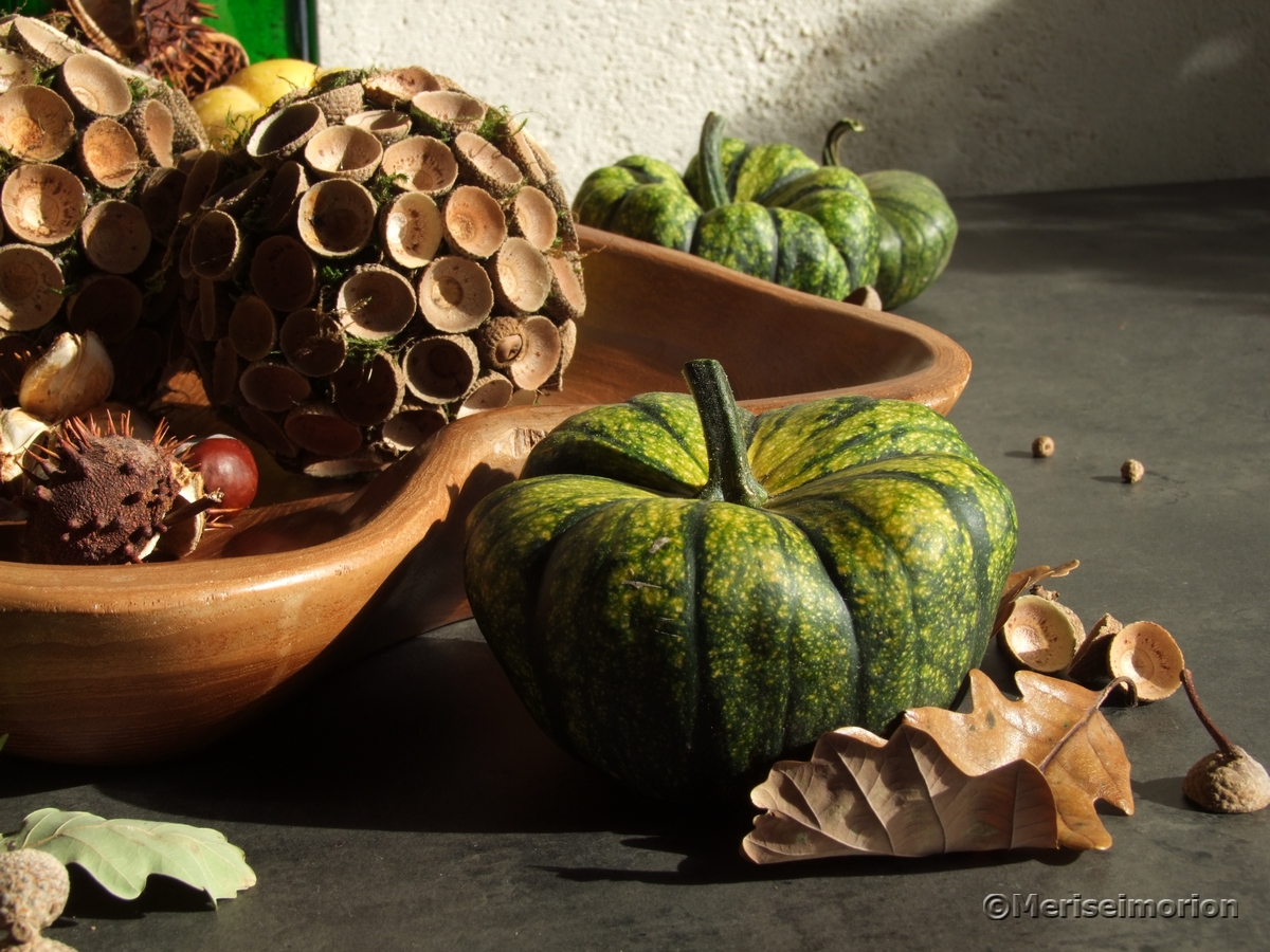 Herbstdeko mit grünen Kürbissen