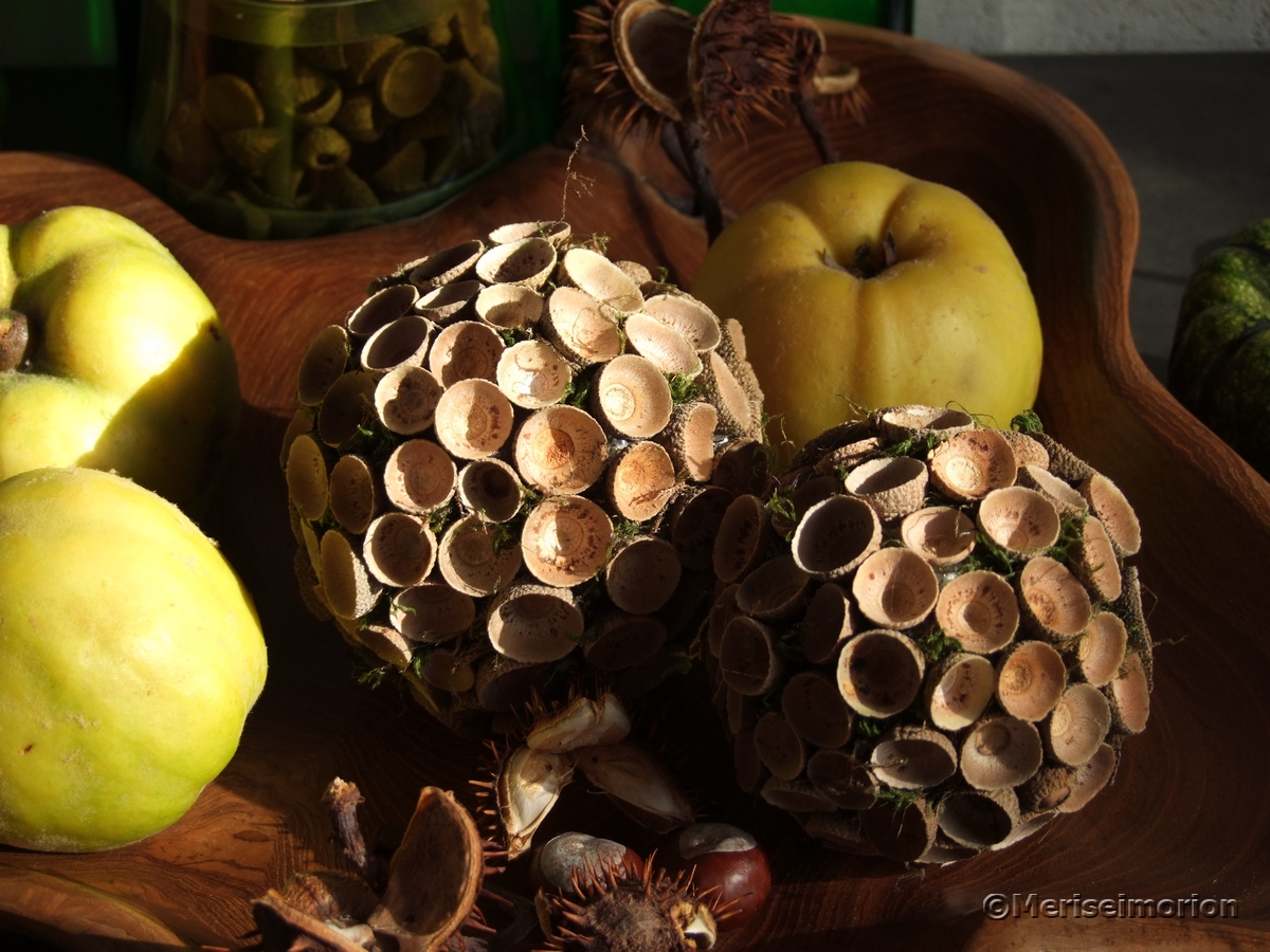 Herbstkugeln basteln mit Eichelhütchen