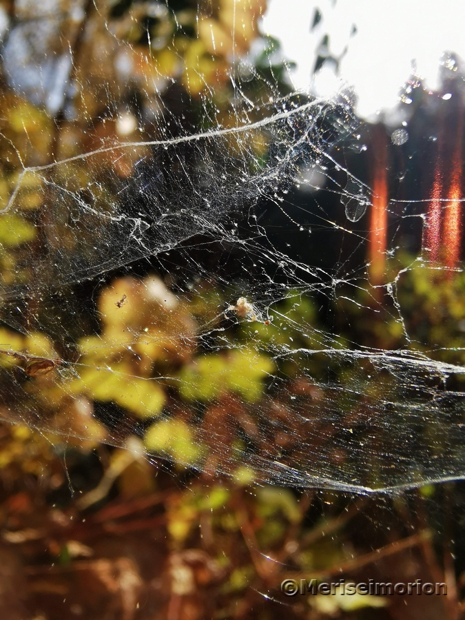 Farben im Herbst