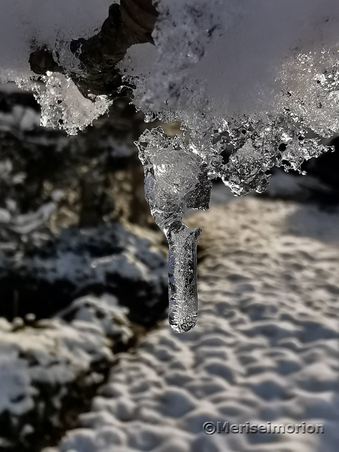 Eiskristalle im Sonnenlicht