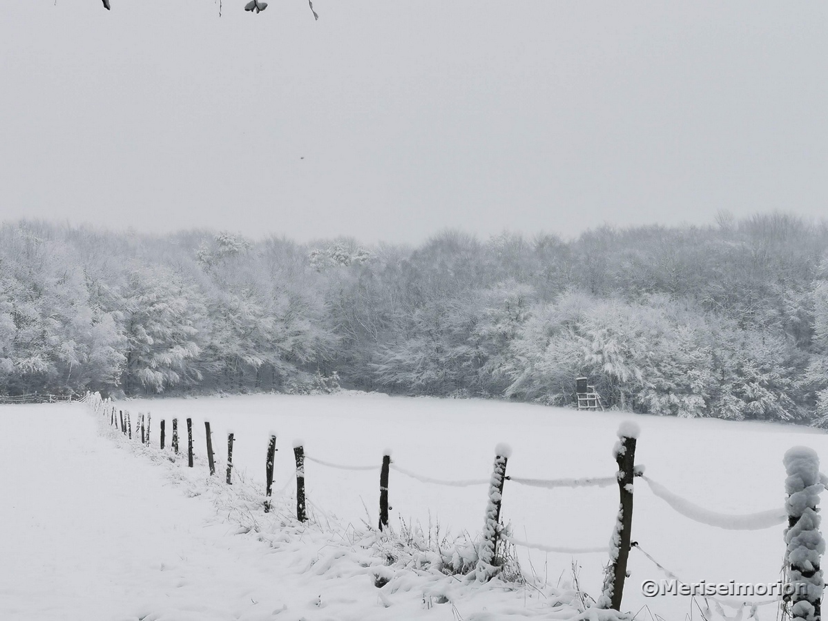 Schneelandschaft