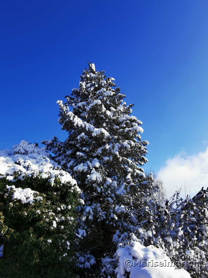 Blauer Himmel und Schnee