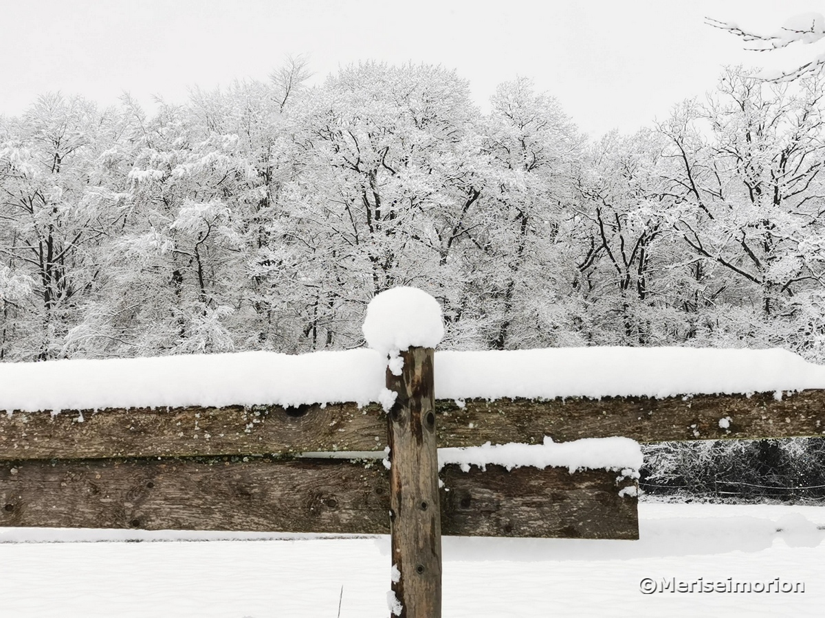 Schnee im rheinischen Westerwald