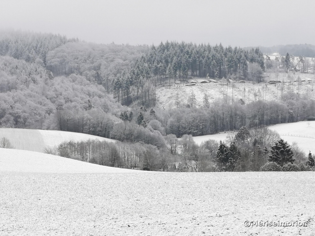 Westerwald im Januar