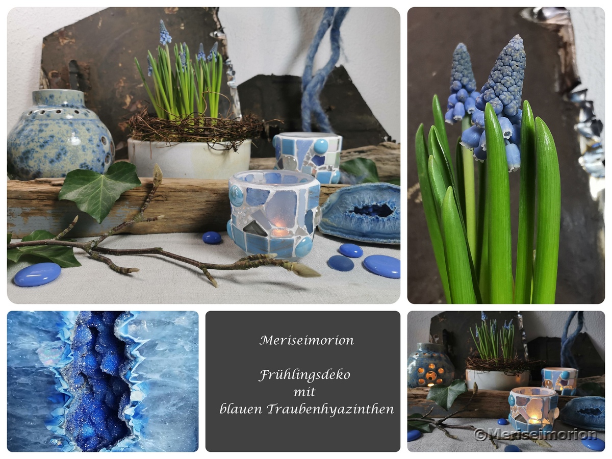 Eine Frühlingsdeko mit blauen Traubenhyazinthen